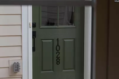 1028 Manarola Road, Lexington, SC 29072 - Photo 53