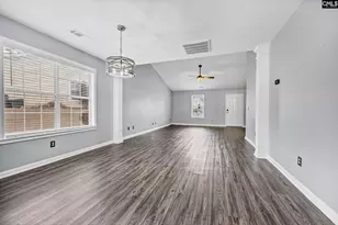 120 W Horn Ct, Chapin, SC 29036 - Photo 7