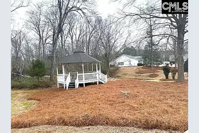 120 West Horn Court, Chapin, SC 29036 - Photo 29