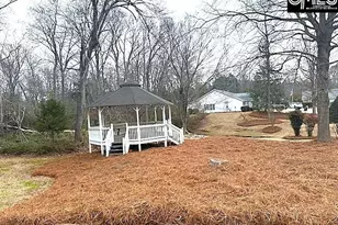 120 W Horn Ct, Chapin, SC 29036 - Photo 29