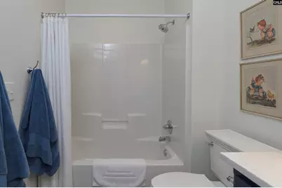 117 Bay Pointe Drive, Chapin, SC 29036 - Photo 27