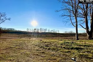 986 Central School Rd, Pomaria, SC 29126 - Photo 25