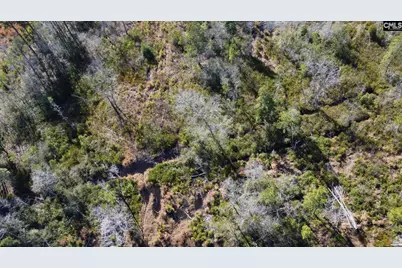 Tbd Epps Road, Manning, SC 29102 - Photo 5