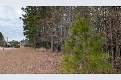 Lot 2 Retreat Way #2, Ridgeway, SC 29130 - Photo 21