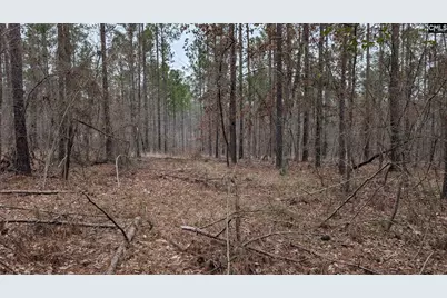 Lot 2 Retreat Way #2, Ridgeway, SC 29130 - Photo 15