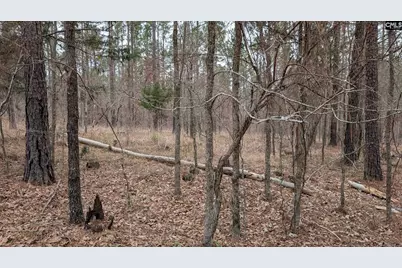 Lot 2 Retreat Way #2, Ridgeway, SC 29130 - Photo 9