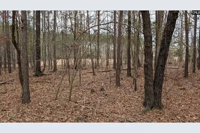 Lot 2 Retreat Way #2, Ridgeway, SC 29130 - Photo 13