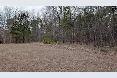 Lot 2 Retreat Way #2, Ridgeway, SC 29130 - Photo 3