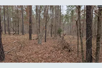 Lot 2 Retreat Way #2, Ridgeway, SC 29130 - Photo 17