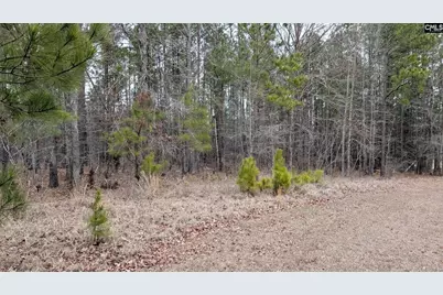 Lot 2 Retreat Way #2, Ridgeway, SC 29130 - Photo 5