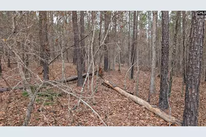 Lot 2 Retreat Way #2, Ridgeway, SC 29130 - Photo 23