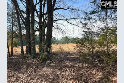 159 Claude Counts Road, Prosperity, SC 29127 - Photo 7