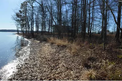 10 Big Water View, Ridgeway, SC 29130 - Photo 5