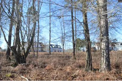 10 Big Water View, Ridgeway, SC 29130 - Photo 11