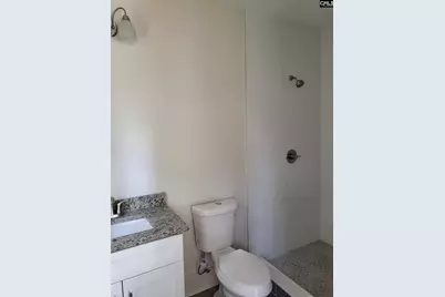 355 Creek Ridge Loop, Blythewood, SC 29016 - Photo 53