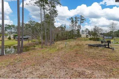 334 Breezy Bay Court, Gilbert, SC 29054 - Photo 7