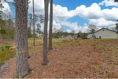 334 Breezy Bay Court, Gilbert, SC 29054 - Photo 5