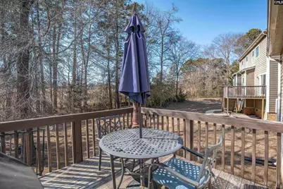 315 Eagle Claw Drive, Chapin, SC 29036 - Photo 33