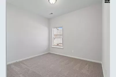 262 Boseman Road, Irmo, SC 29063 - Photo 17