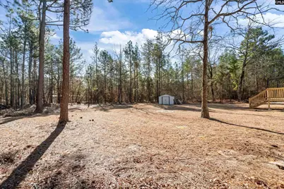 381 McLee Road, Lexington, SC 29073 - Photo 27