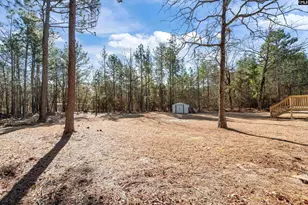 381 McLee Rd, Lexington, SC 29073 - Photo 27