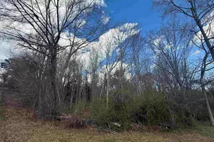 245 Slayton St, Whitmire, SC 29178 - Photo 1