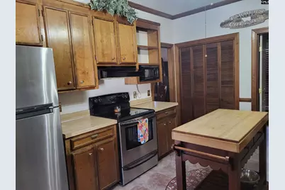 205 Sim Johnson Road, Gilbert, SC 29054 - Photo 29