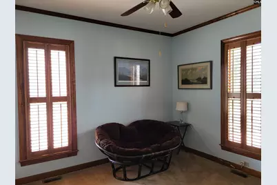 205 Sim Johnson Road, Gilbert, SC 29054 - Photo 35