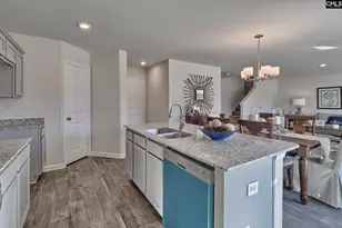 177 Calm Citadel Dr, Pelion, SC 29123 - Photo 9