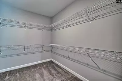 1420 Saugus Court, Chapin, SC 29036 - Photo 25