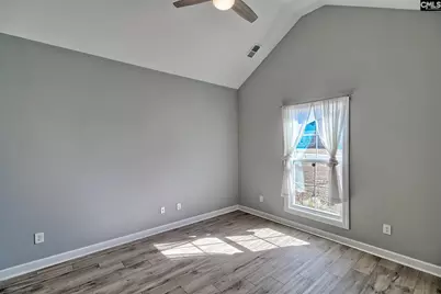 1420 Saugus Court, Chapin, SC 29036 - Photo 17