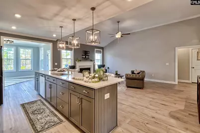 1420 Saugus Court, Chapin, SC 29036 - Photo 7