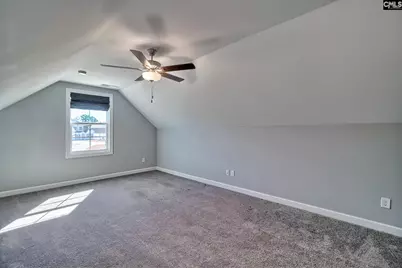 1420 Saugus Court, Chapin, SC 29036 - Photo 33