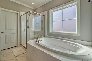 1420 Saugus Ct, Chapin, SC 29036 - Photo 23