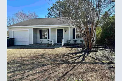 209 Maple Tree Court, Lexington, SC 29073 - Photo 1