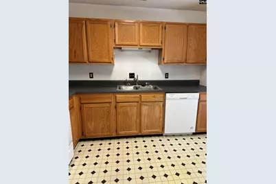 209 Maple Tree Court, Lexington, SC 29073 - Photo 9