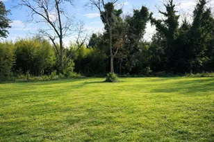 125 Aiken St, Springfield, SC 29146 - Photo 15