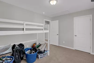 313 Pinaster Path, West Columbia, SC 29170 - Photo 17