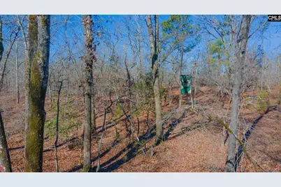 7942 Wagener Road, Salley, SC 29137 - Photo 19