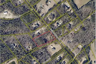 622 Juniper Springs Rd, Gilbert, SC 29054 - Photo 5