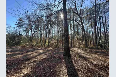 622 Juniper Springs Road, Gilbert, SC 29054 - Photo 3