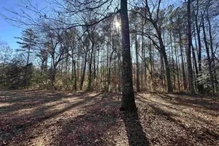 622 Juniper Springs Rd, Gilbert, SC 29054 - Photo 3