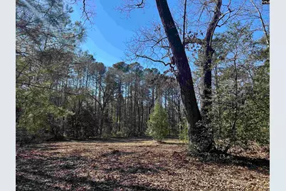 622 Juniper Springs Road, Gilbert, SC 29054 - Photo 9