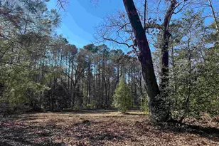 622 Juniper Springs Rd, Gilbert, SC 29054 - Photo 9