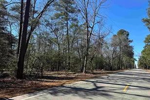 622 Juniper Springs Rd, Gilbert, SC 29054 - Photo 7