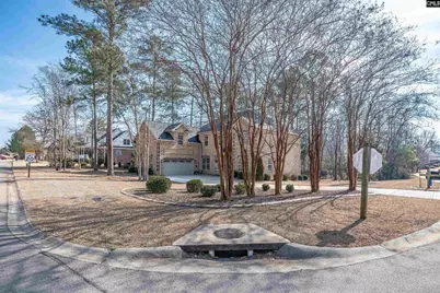 110 Night Harbor Drive, Chapin, SC 29036 - Photo 67