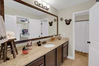 110 Night Harbor Drive, Chapin, SC 29036 - Photo 41