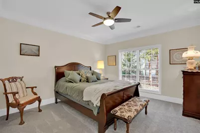 110 Night Harbor Drive, Chapin, SC 29036 - Photo 39