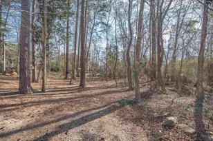 110 Night Harbor Dr, Chapin, SC 29036 - Photo 51