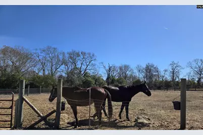 1080 Fox Young Road, Wagener, SC 29164 - Photo 43